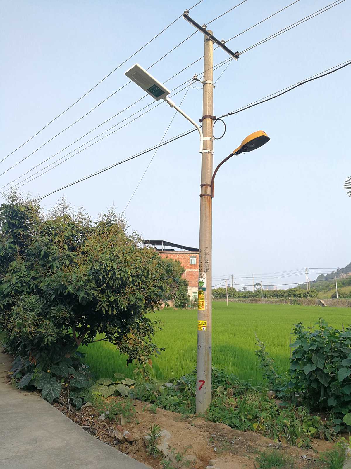 農材免接線光能路燈