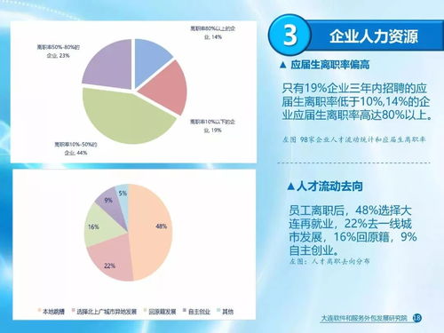 大連軟件和信息技術(shù)服務(wù)業(yè)發(fā)展報告 聚焦軟件外包服務(wù)的崛起與展望